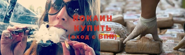 прущие крисы Заводоуковск