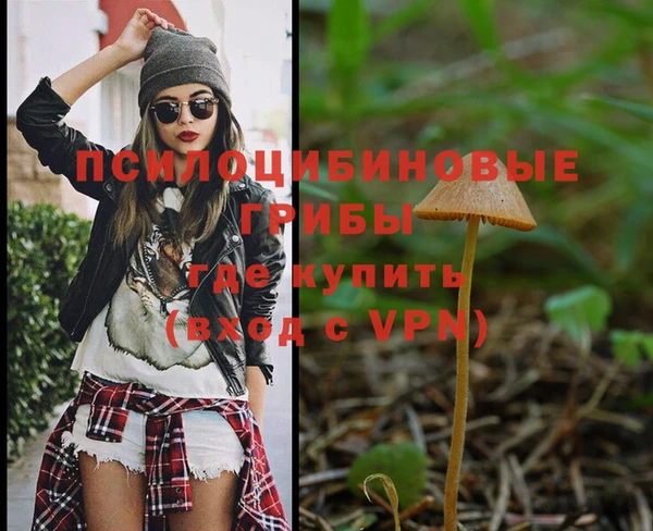 mdpv Заволжье