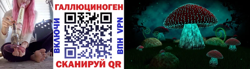 Псилоцибиновые грибы Cubensis  Купить закладки  Междуреченск 